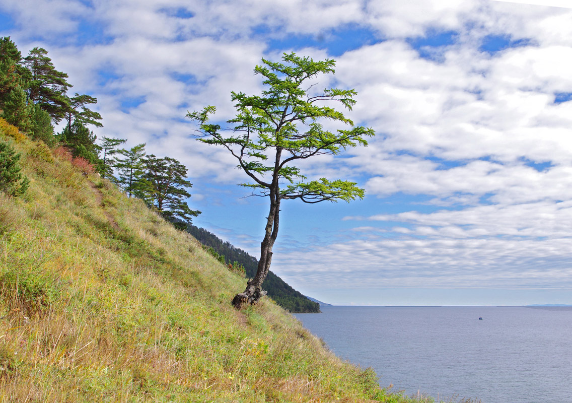 �� �������