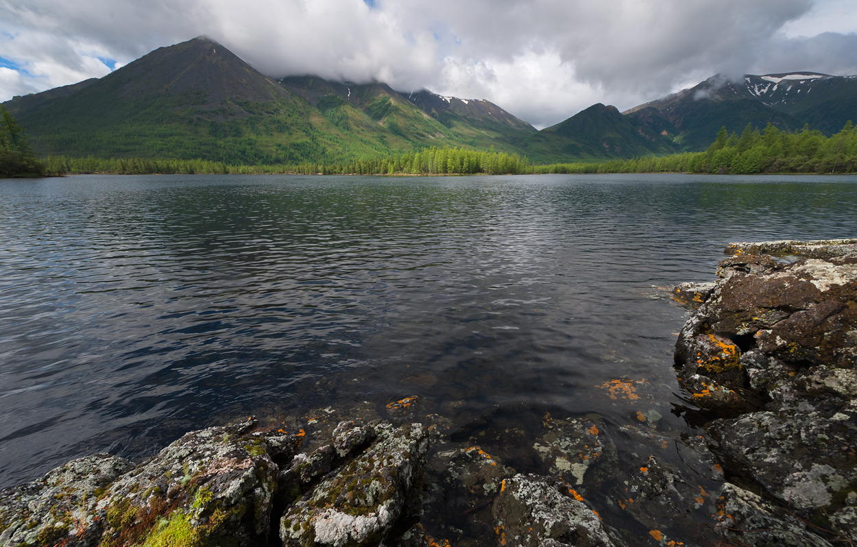 ����� ����-���