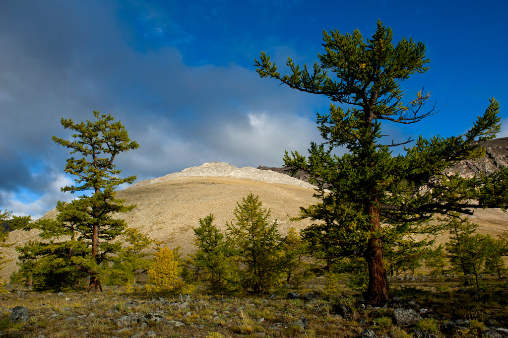 ������ �� ��������