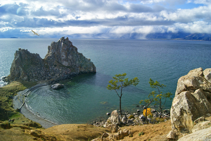 �������