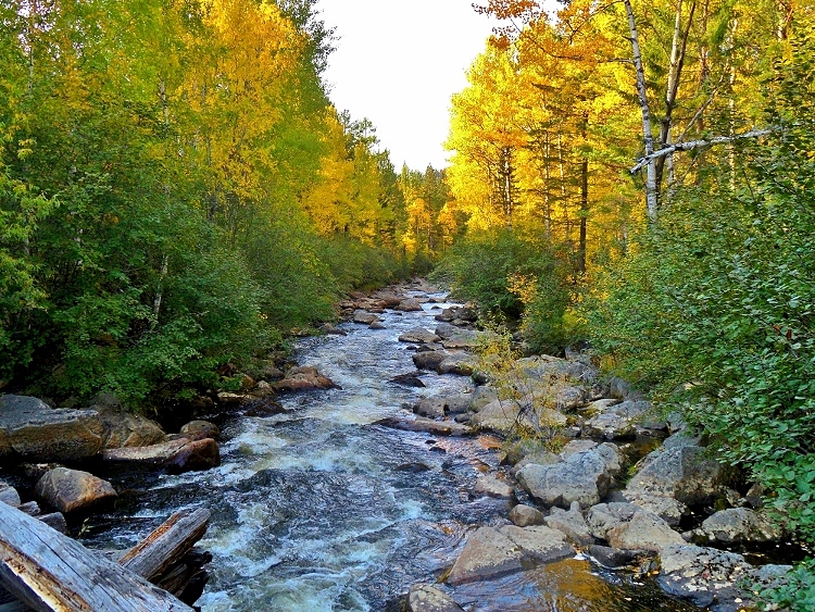 ������� ������ ��������� �����