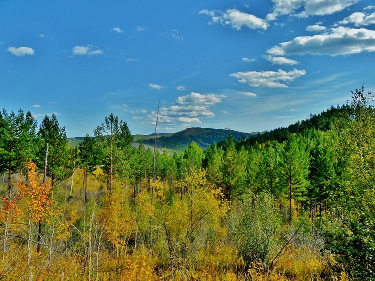 ������� ����������