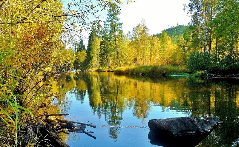 ������������� �����