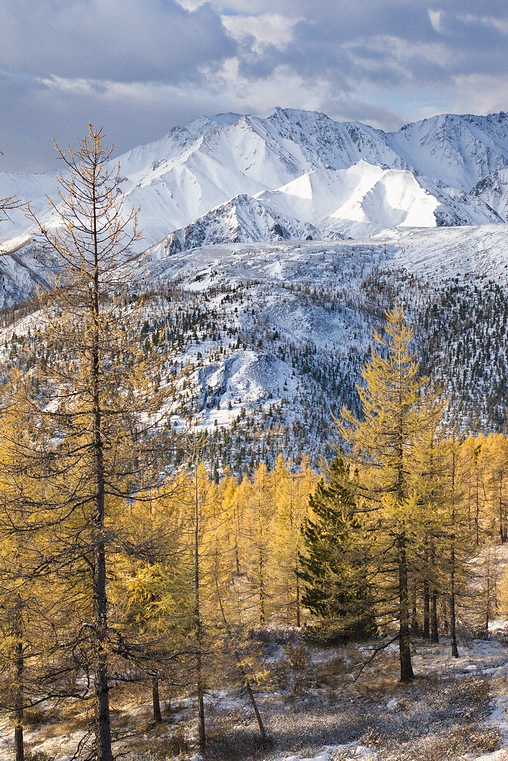 � ����� �����