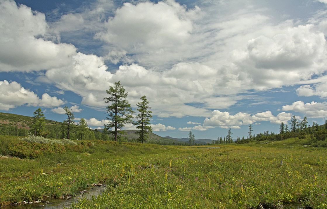 ������ �����