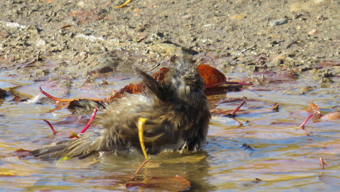 ������ ������!