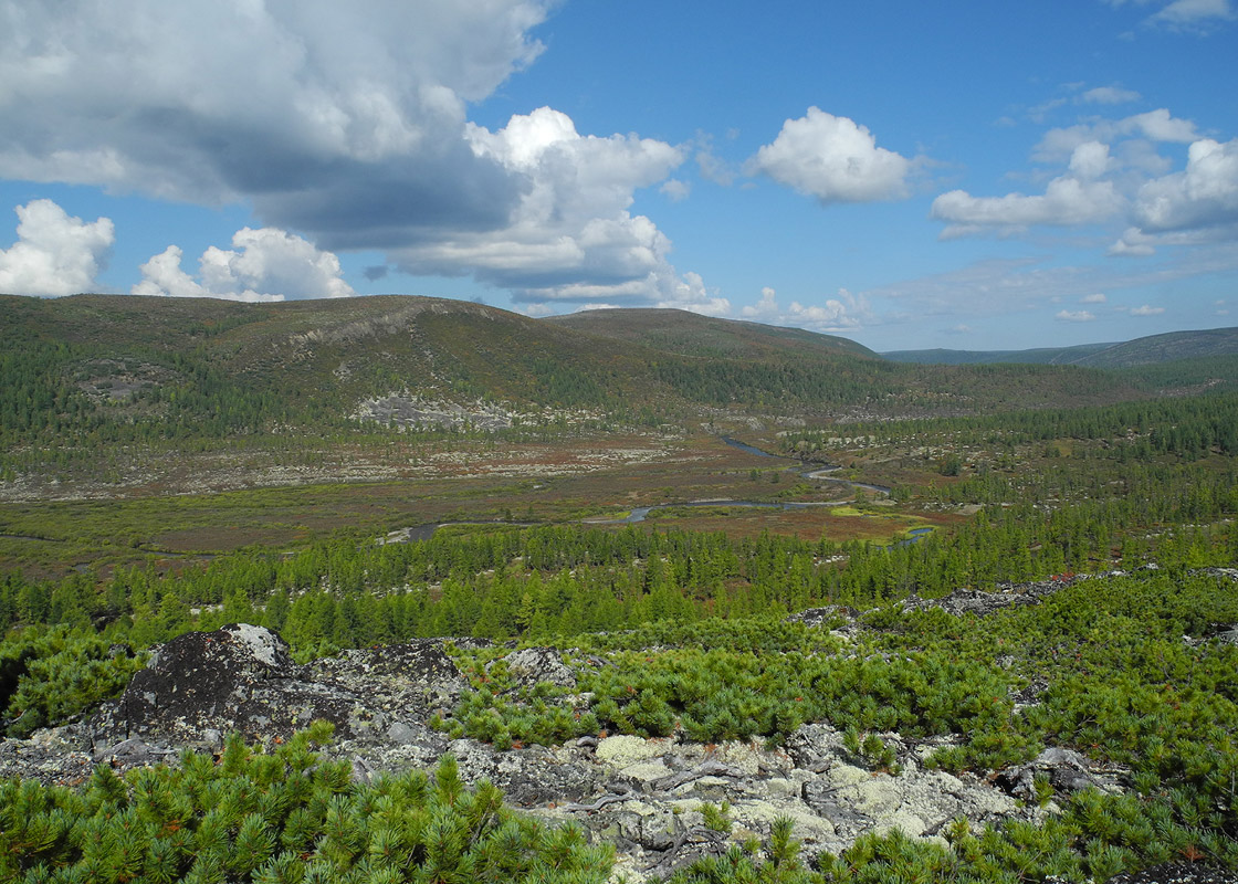 Долина Лены