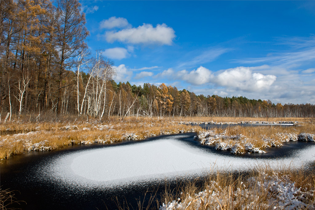 ������ ���� � ������ ���