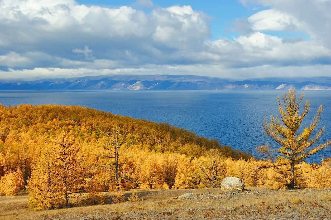 ������ �������!