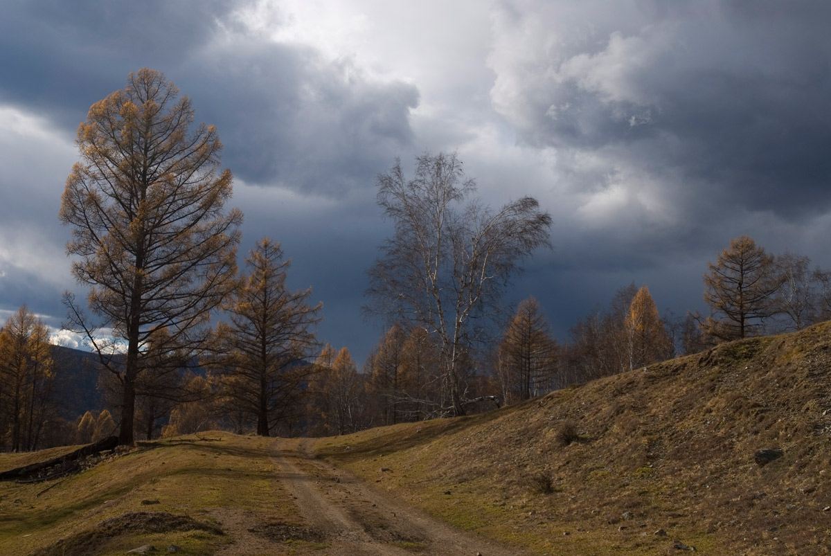 Закаменский октябрь