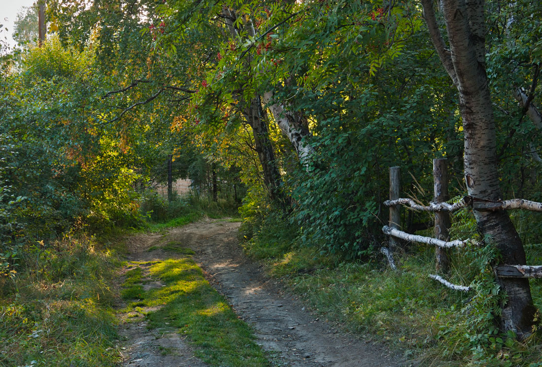 �� ������ ����