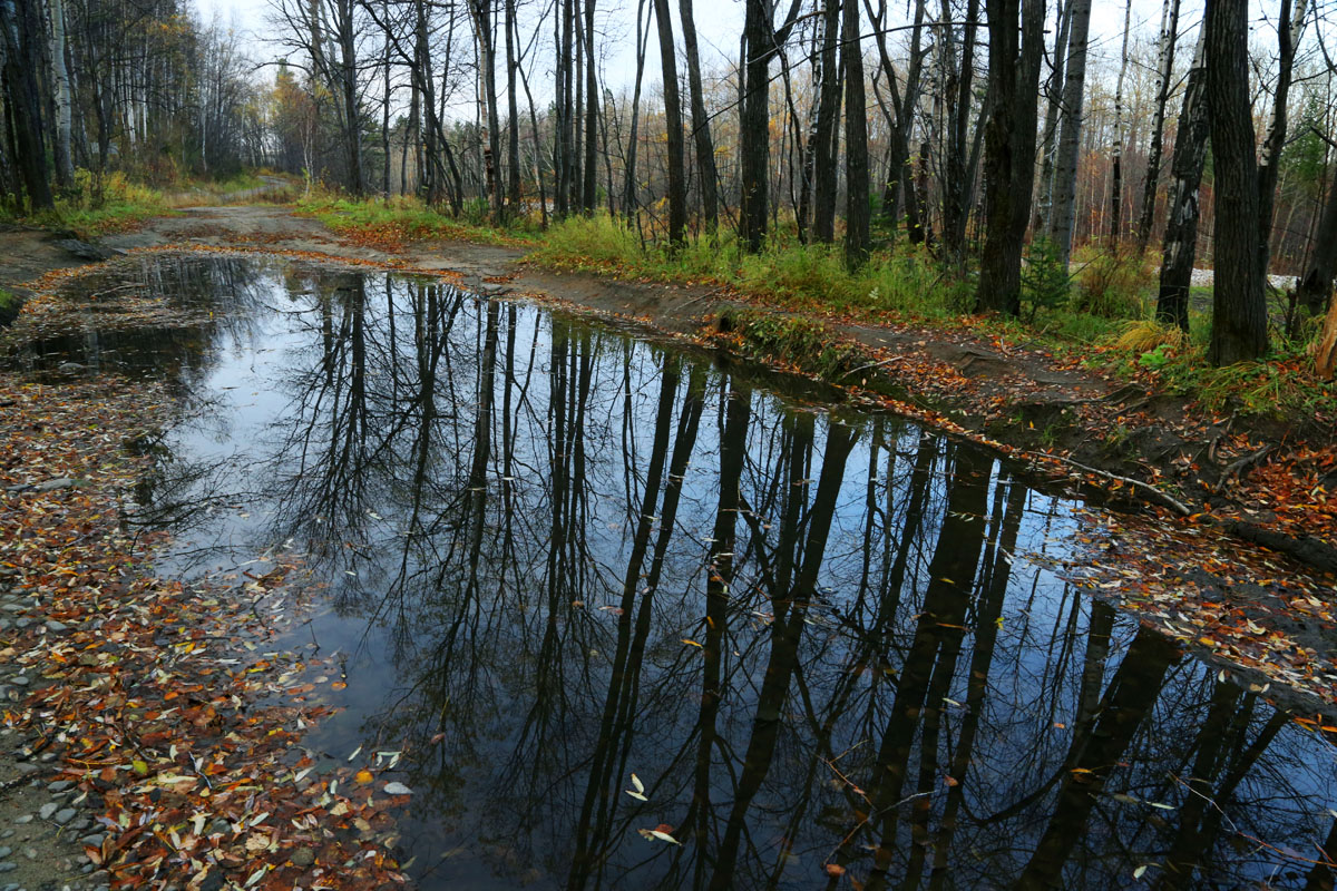 �� ���� ��������...