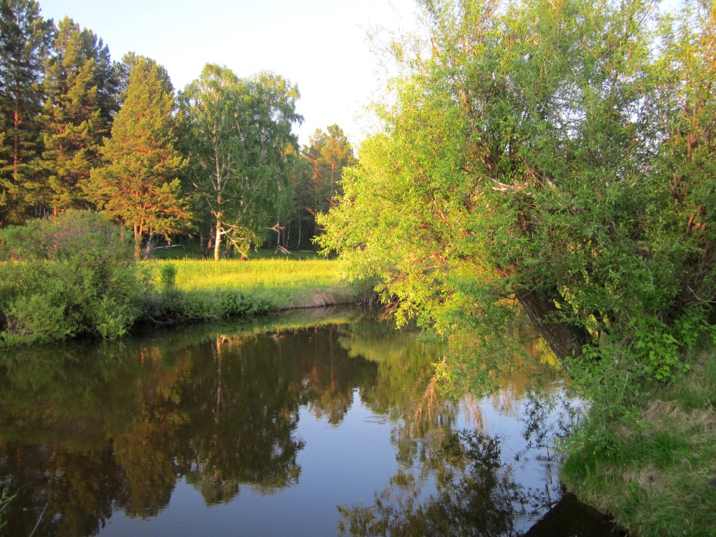 ����. ������. ����. ��������.