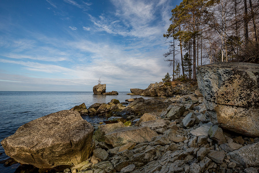 ������ "��������"