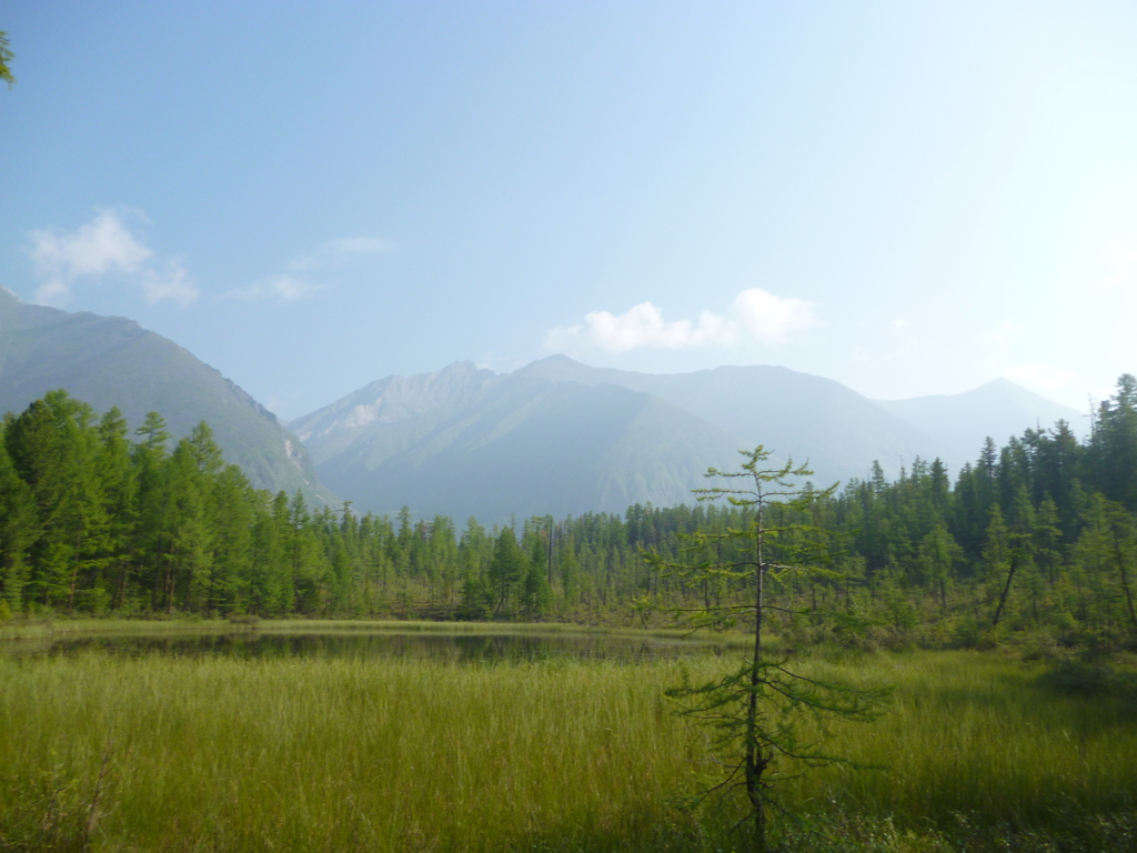 ������� � ������������ ���