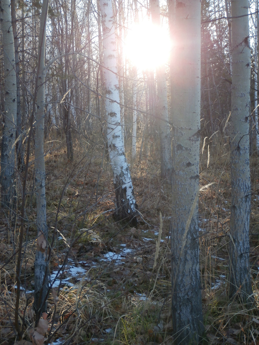 ����������� ���