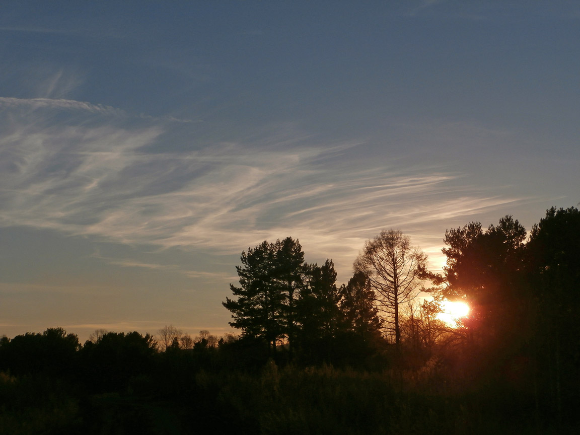 �� ������ ���