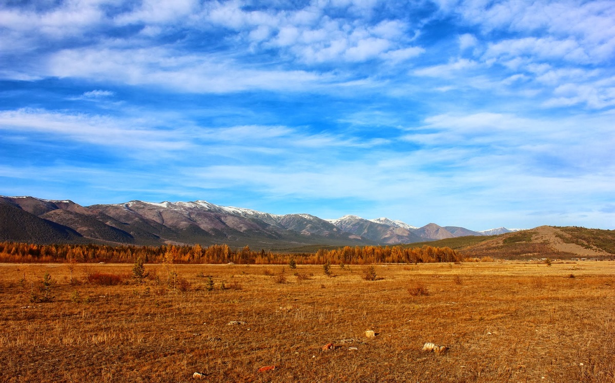 ��� ��������