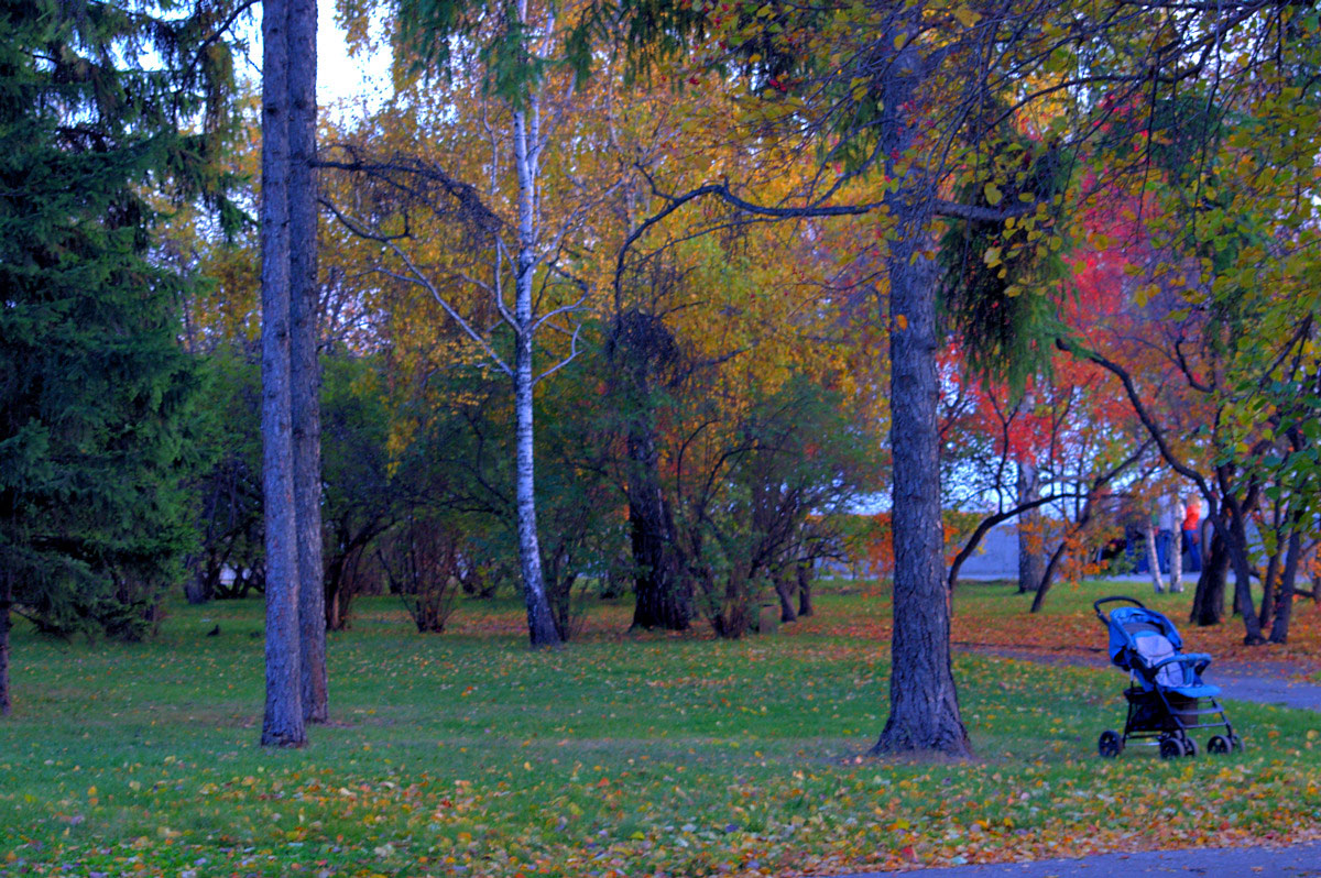 ������� ������ ..