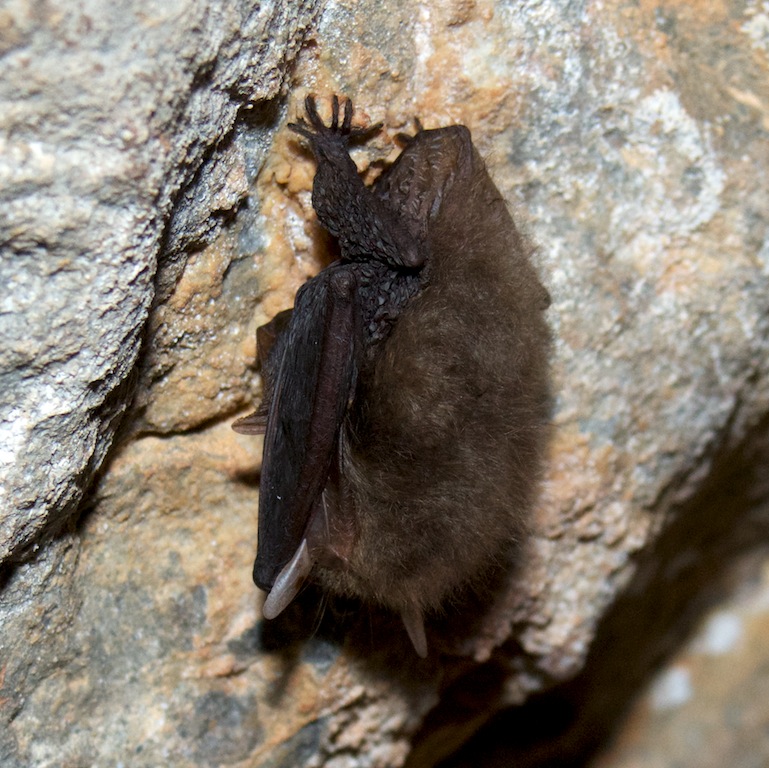 ���� ������� ������. �������� �����.