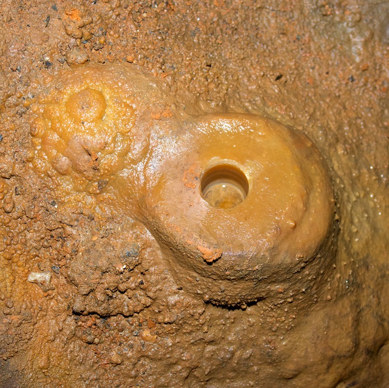 ������ ����