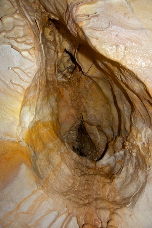 �� �� ������ � �������