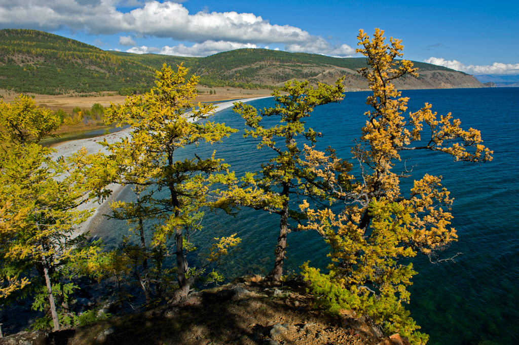 ������� ��������