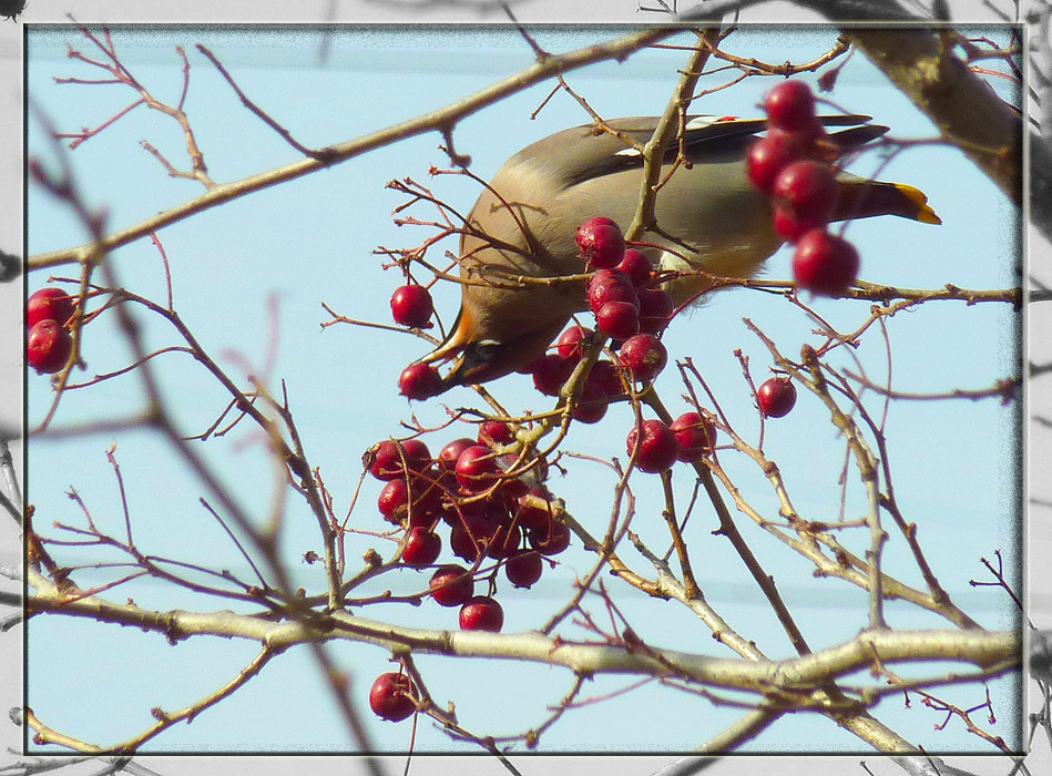 �� ��� �. ���, ���������� ������ :-)