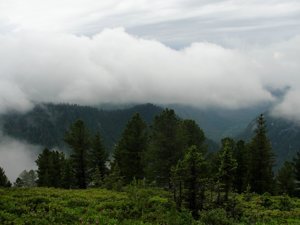 ������������ � �����-������