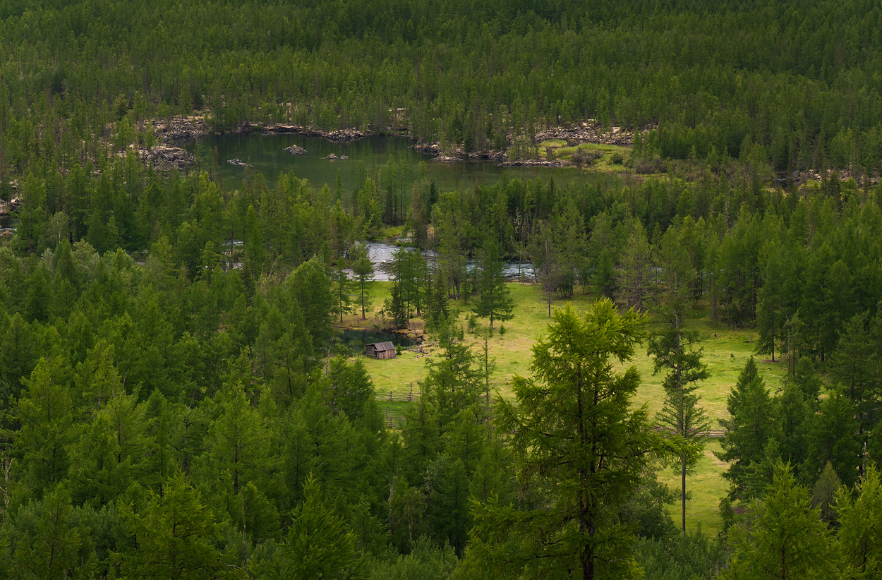 � �����...