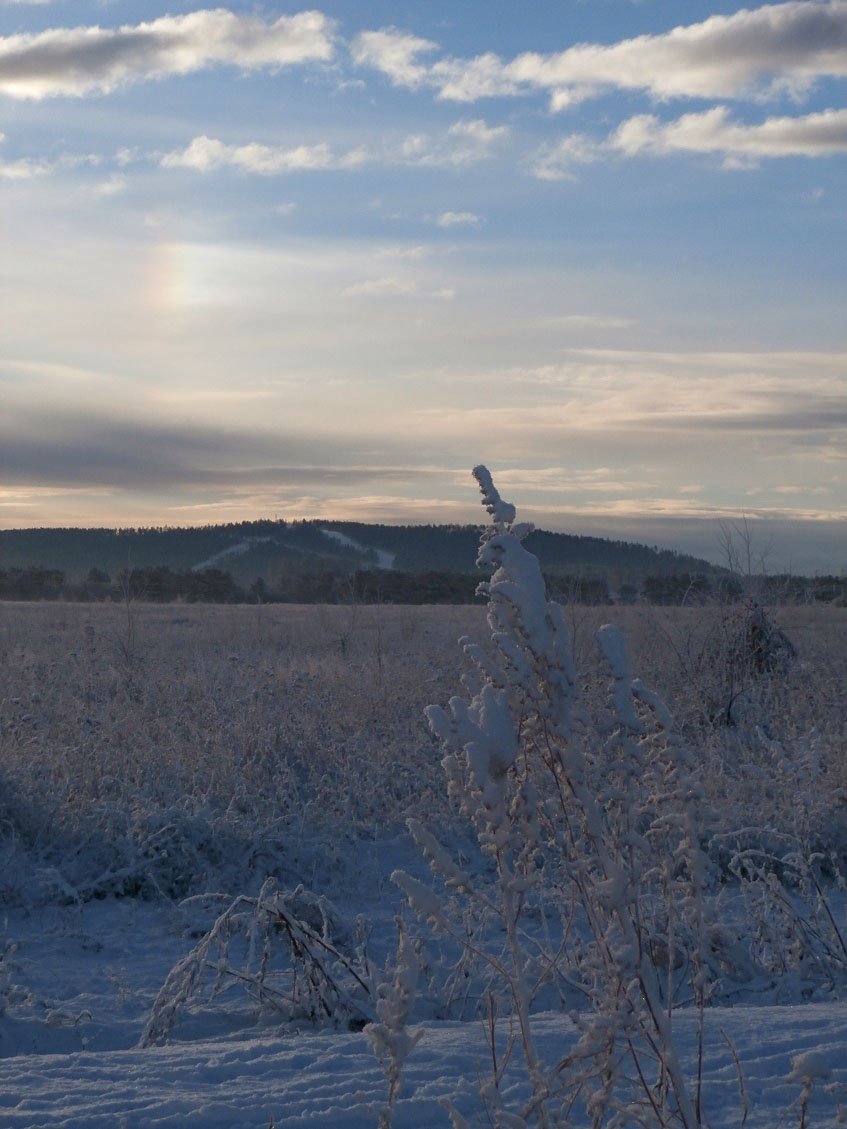 ...���� �...