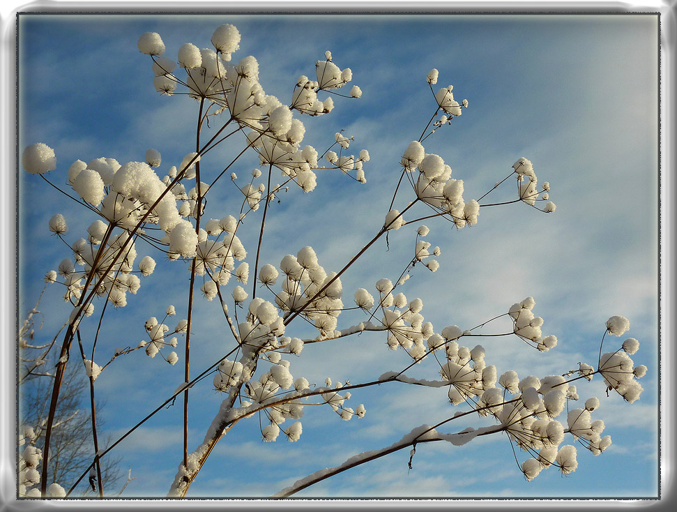 ������� �����