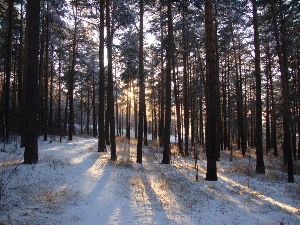 ������� ������ ������ ����� ������ 1