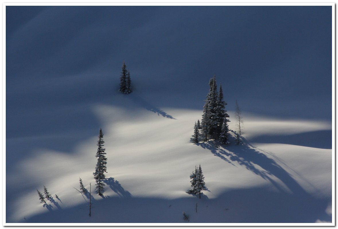 ������ �����