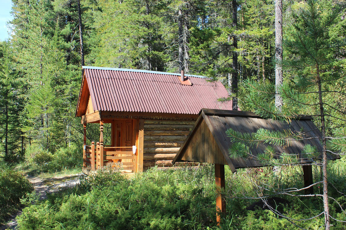 ���� ������