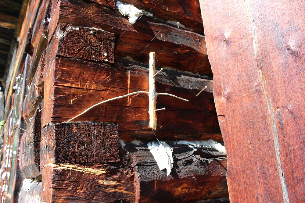 ��������