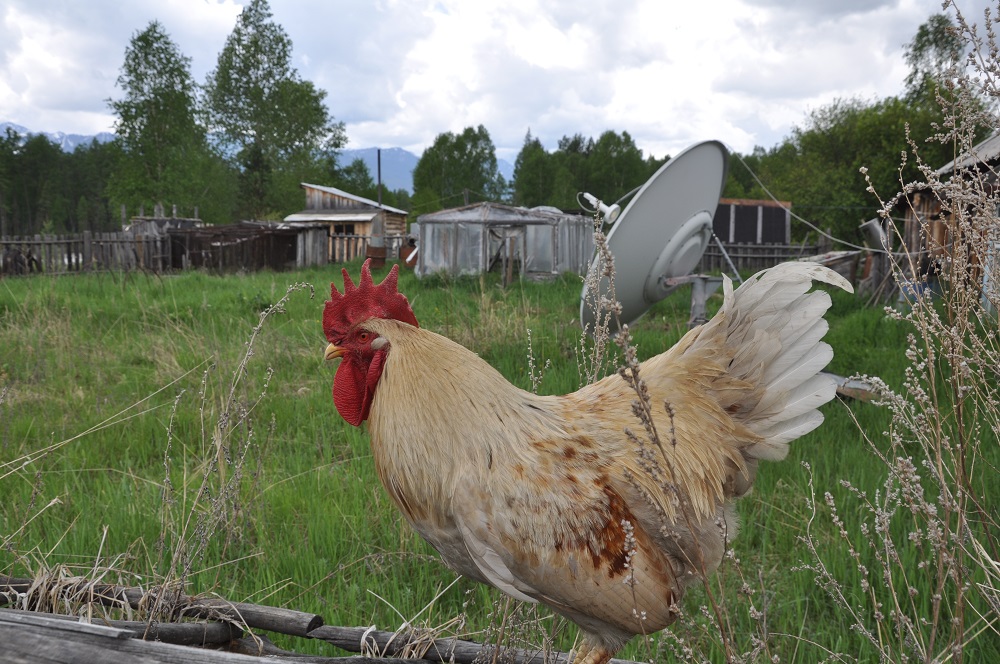 ����������� �����