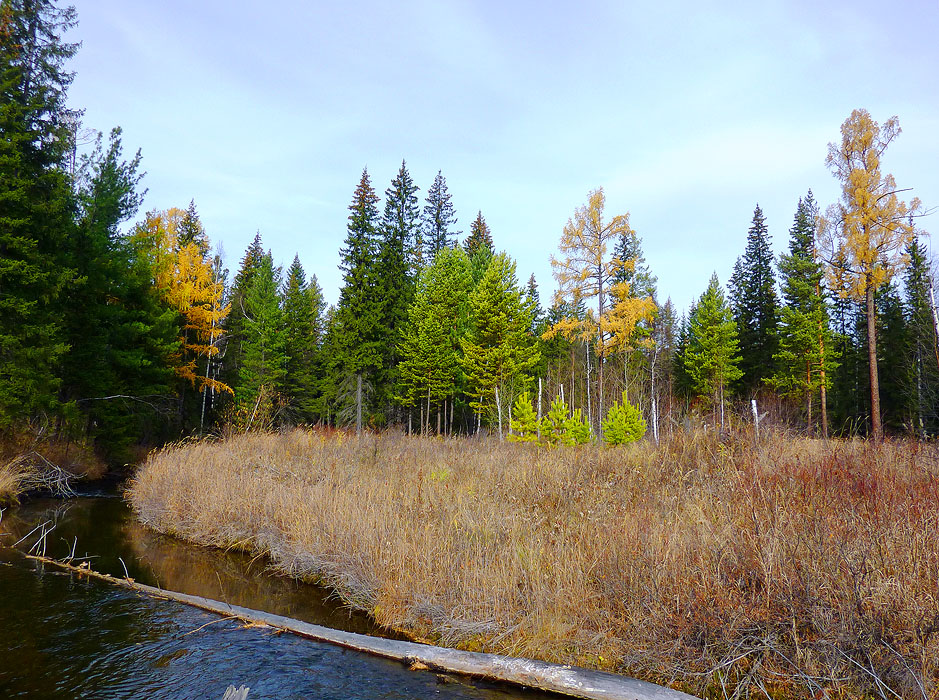 ������� �������