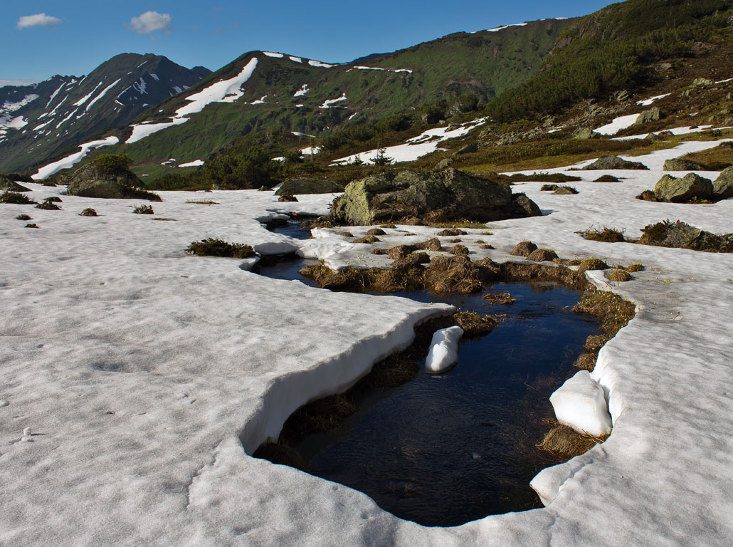 ������ ����