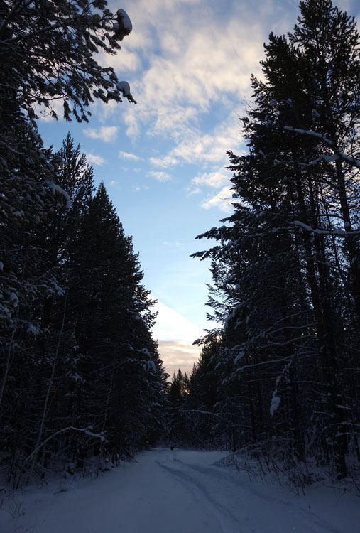 ������ ����