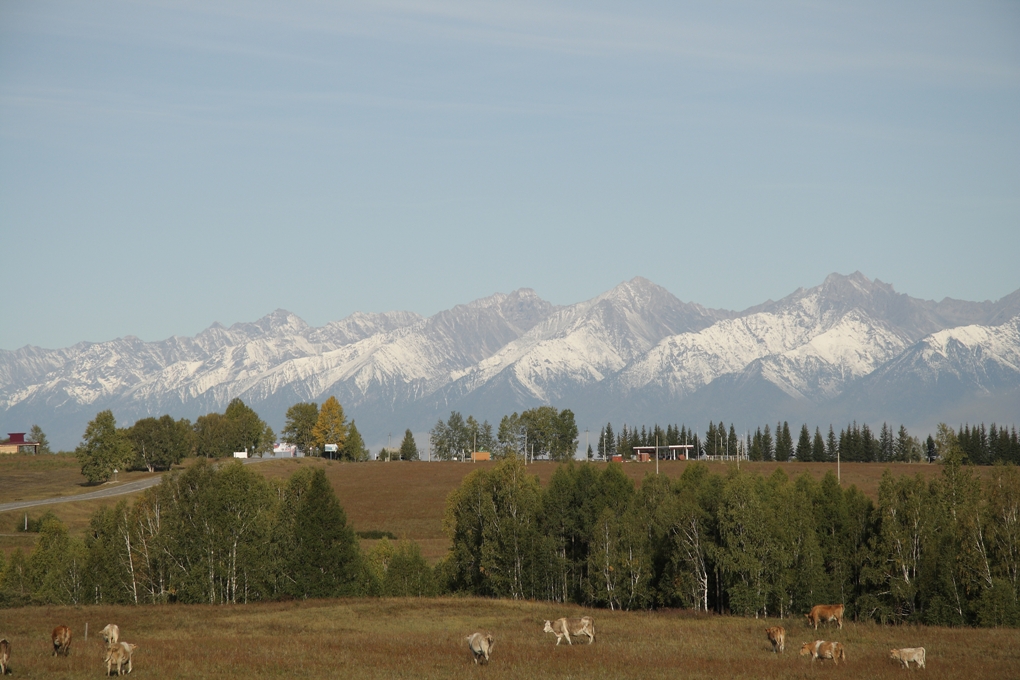 ����� � ������ �.�����