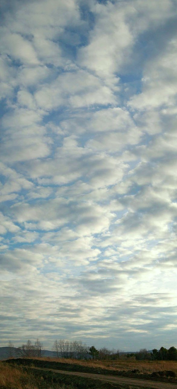 Altocumulus translucidus