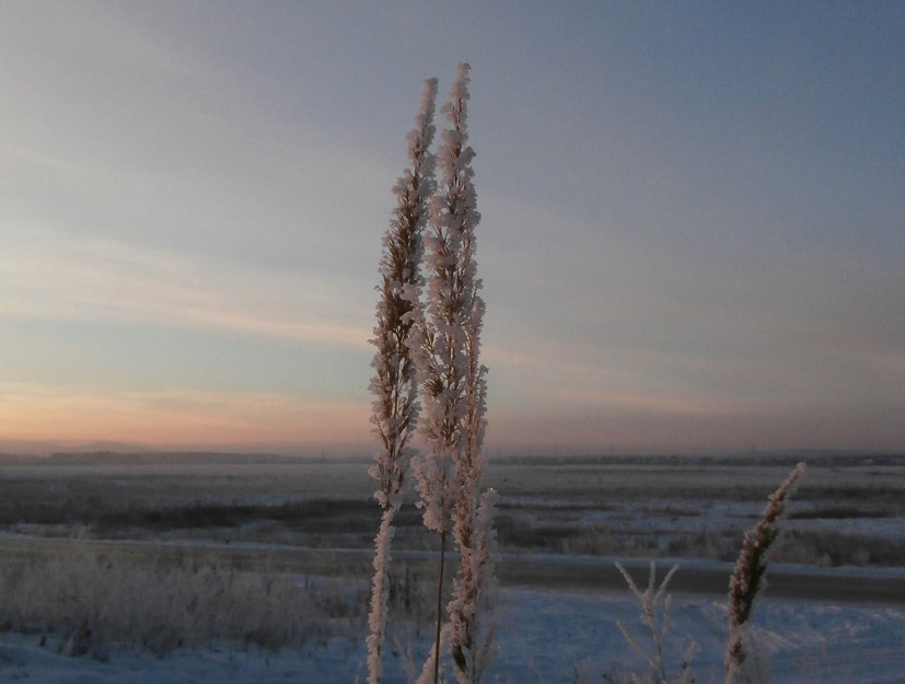 �������� ...