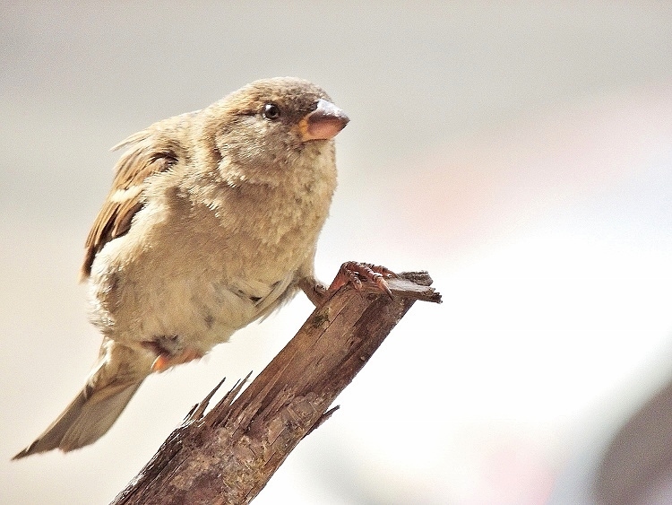 ���������������!!!