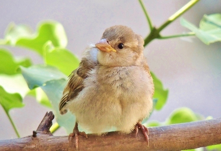 ���������� ��� �!!