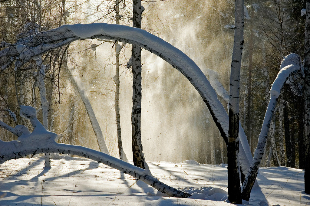 ������,���� � ������