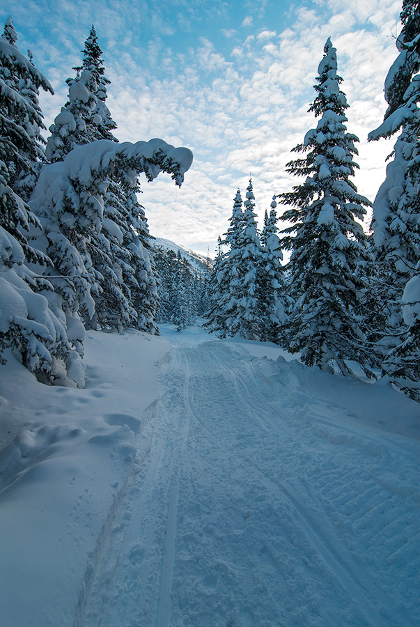 C ����� �����!