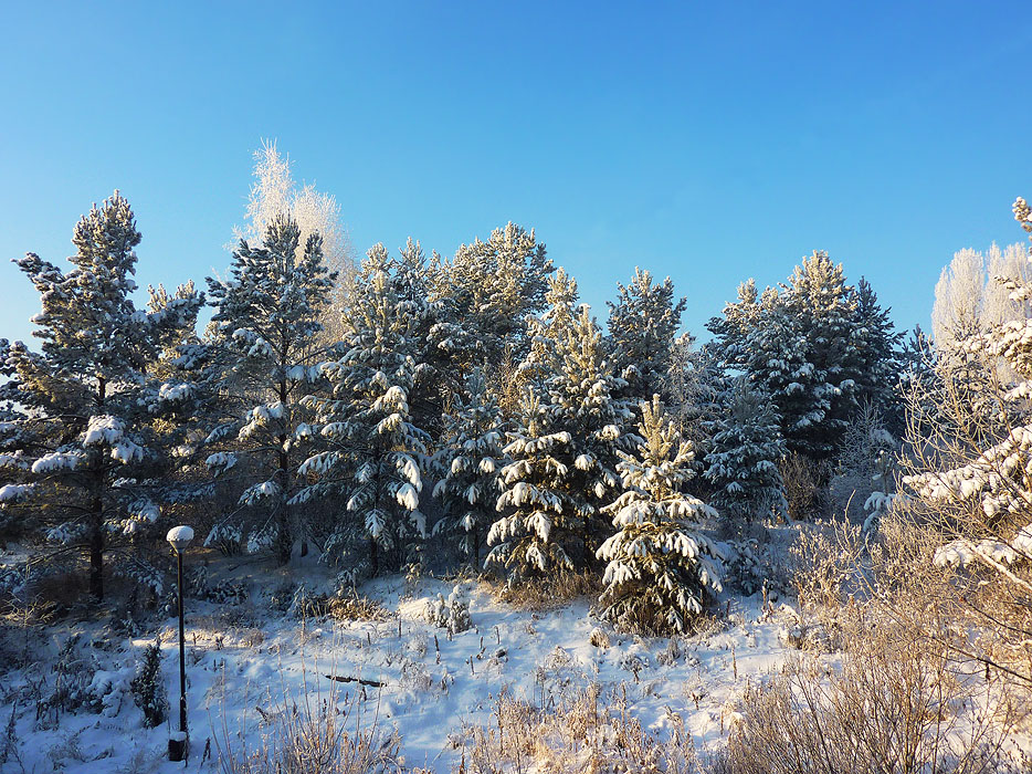 � ������� ���������