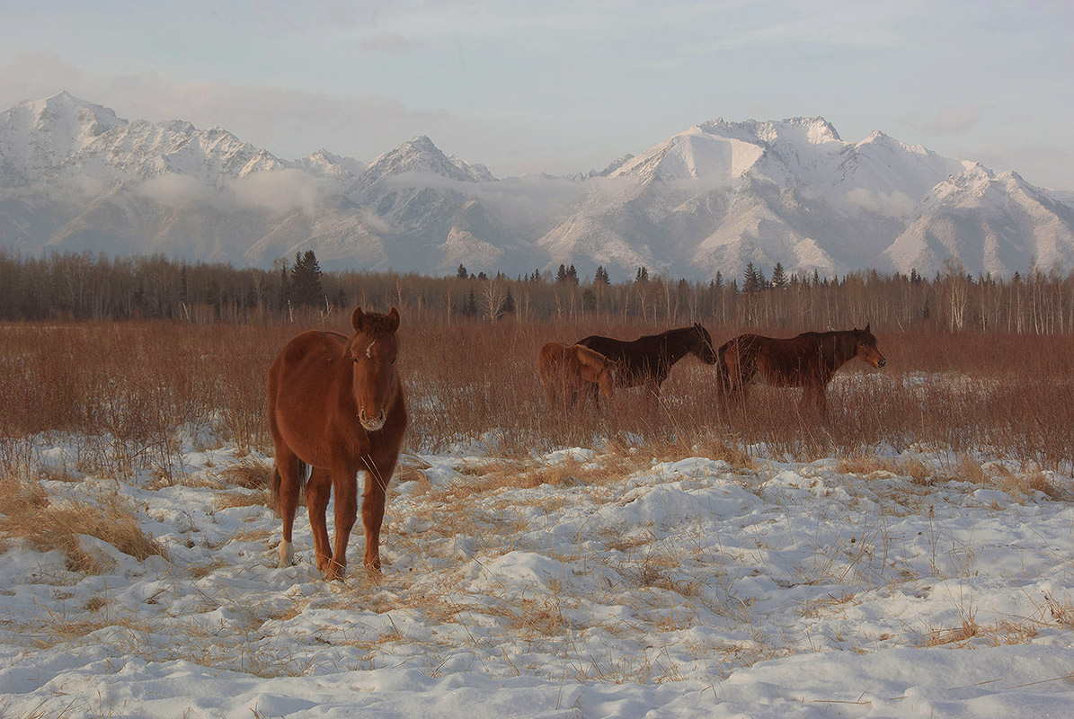 ���������� ���� � ����� ������!