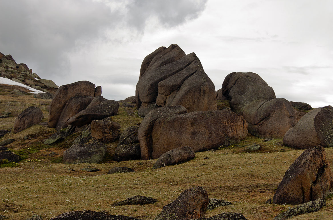 �������� �����